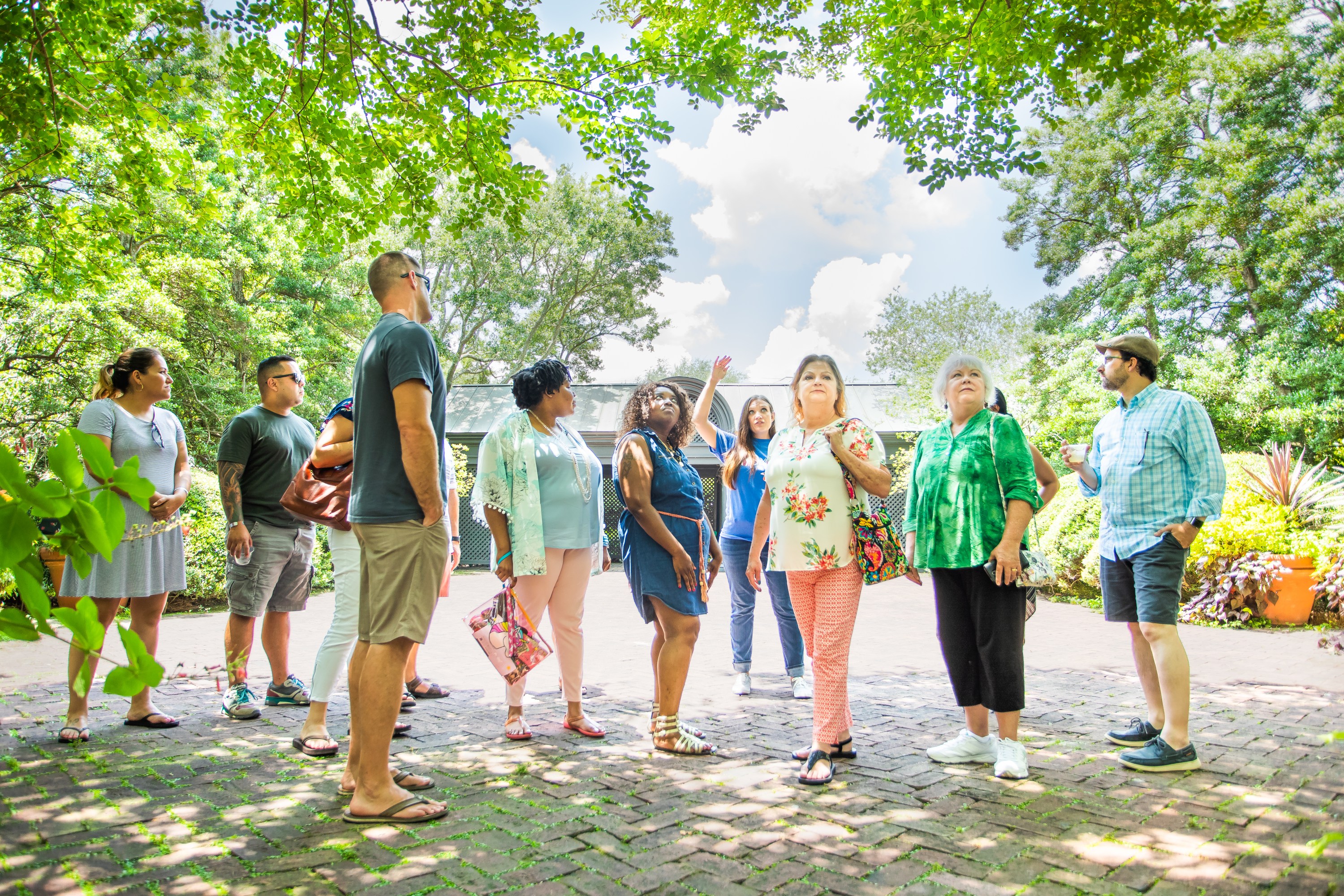 Group of people stand outdoors under trees, one person pointing at the sky.