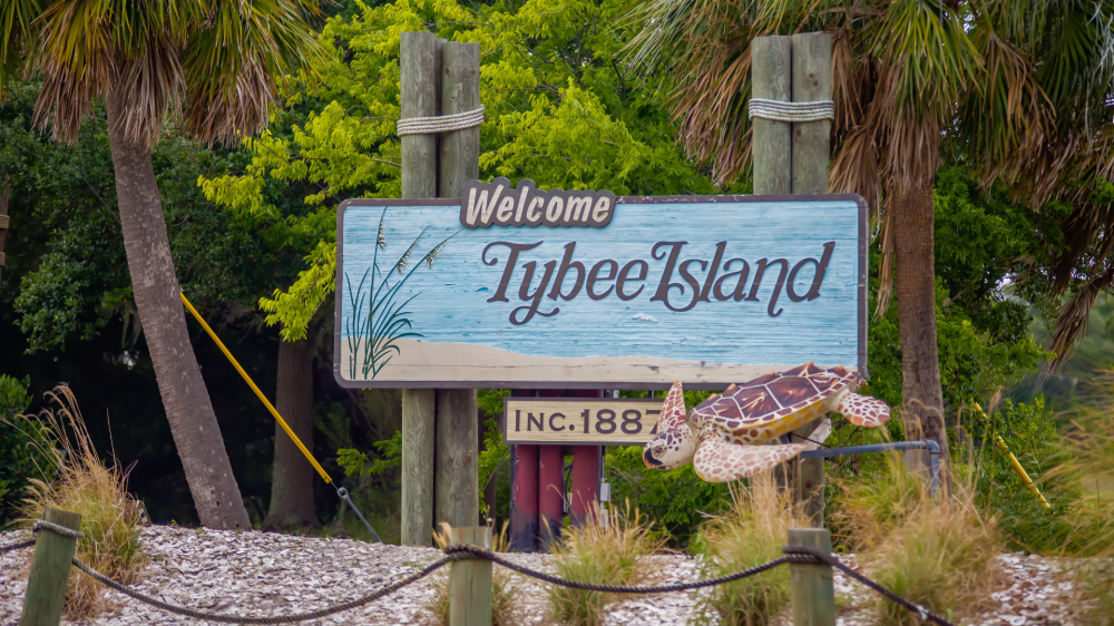 Welcome sign for Tybee Island with turtle illustration, greenery in background.